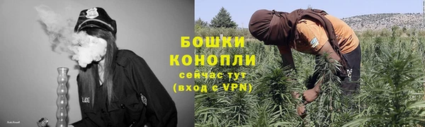 соль ск Богданович