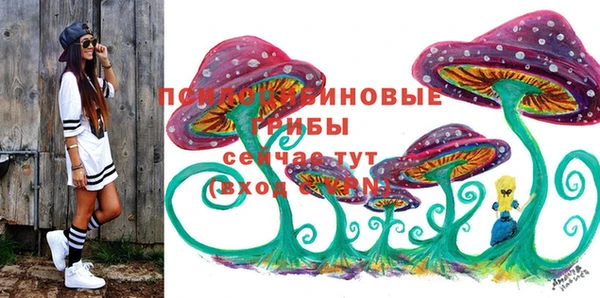 соль ск Богданович