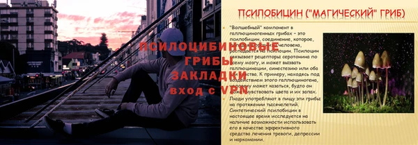 jwh Богородицк